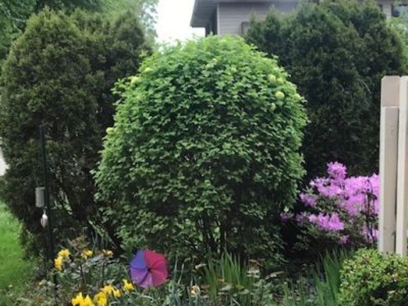 15504 Roxboro Drive, Middleburg Heights, OH 44130 Photo 13