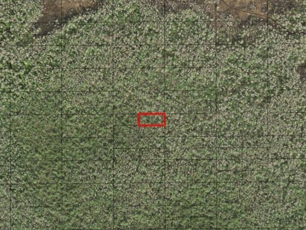 0 HOLOPAW GROVES RD, St. Cloud, FL 34772