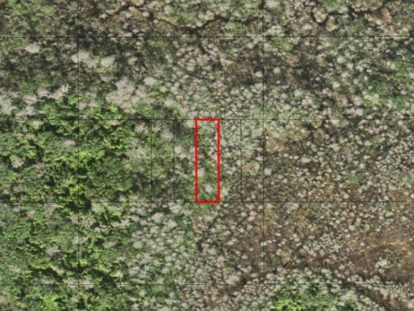 0 HOLOPAW GROVES RD, St. Cloud, FL 34772