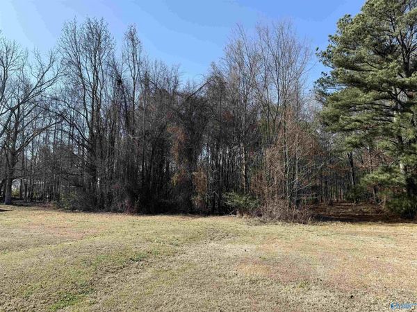 478 Mose Chapel Road, Madison, AL 35758