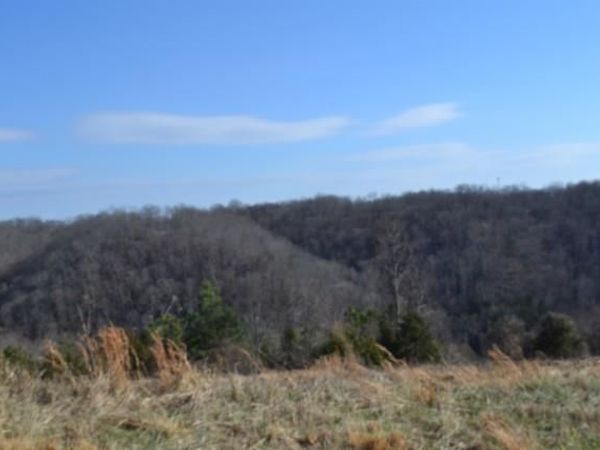 Lot 13 Lord Botetourt Court, Baxter, TN 38506