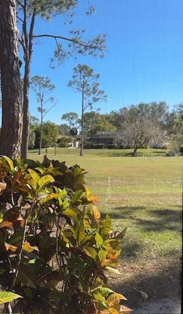 5124 Harpers Croft, Unit 7, Sarasota, FL 34235 Photo