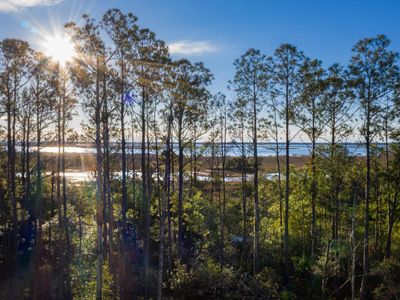 2292 Minifarm Way, Unit 526, Mount Pleasant, SC 29466