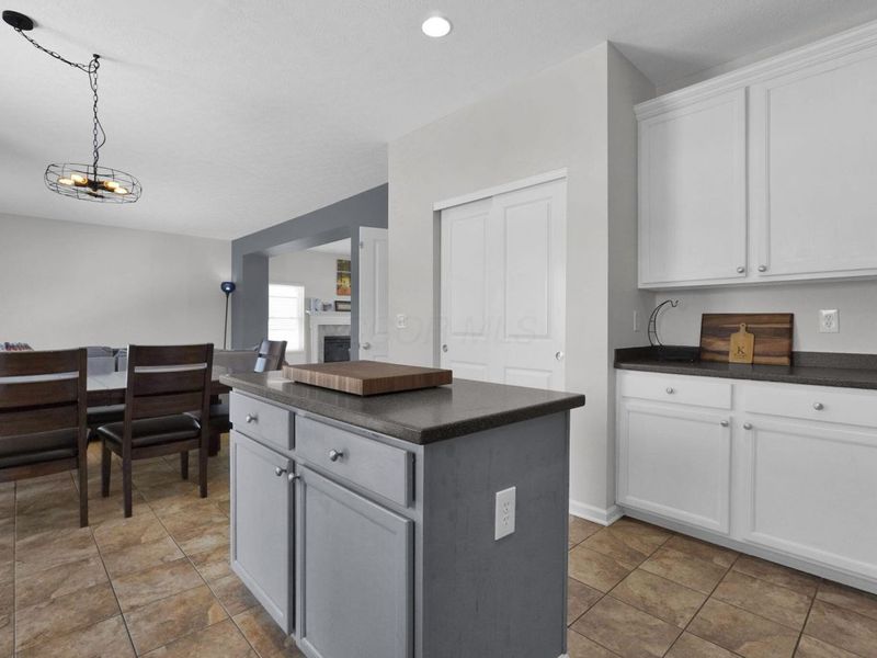 1139 Desert Willow Drive, Blacklick, OH 43004 Photo 10