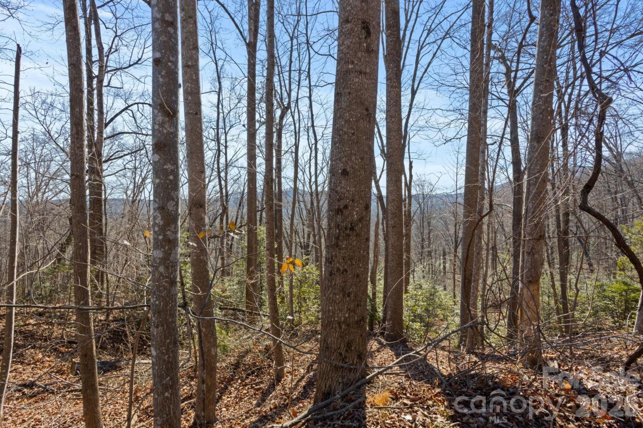 0 Dogwood Drive, Lake Lure, NC 28746 Main Photo