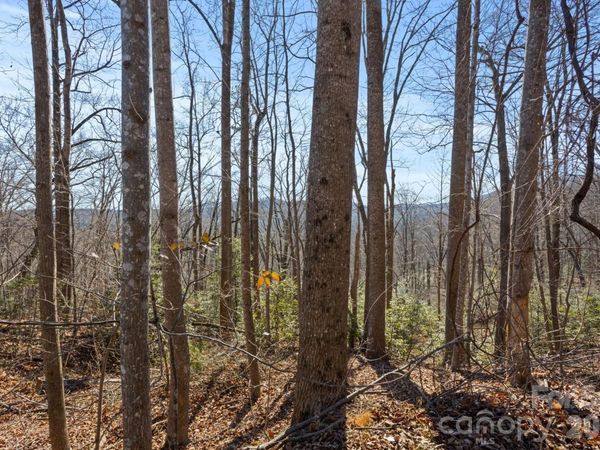 0 Dogwood Drive, Lake Lure, NC 28746