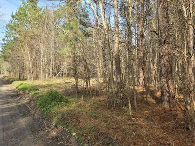 00 Whitestone Drive, Reevesville, SC 29471