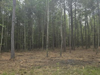 00 Whitestone Drive, Reevesville, SC 29471