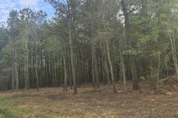 00 Whitestone Drive photo 4