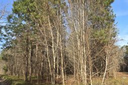 00 Whitestone Drive photo 4