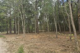 00 Whitestone Drive photo 4