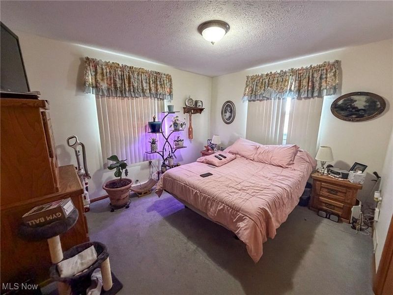 3875 Mcclintocksburg Road, Diamond, OH 44412 Photo 10