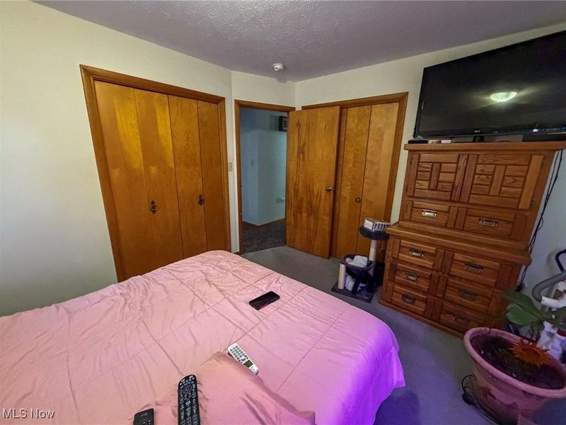 3875 Mcclintocksburg Road, Diamond, OH 44412 Photo 11