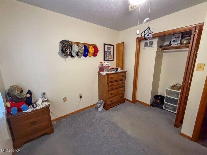 3875 Mcclintocksburg Road, Diamond, OH 44412 Photo 14