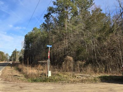 0 Whitestone Drive, Reevesville, SC 29471