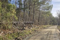 0 Whitestone Drive photo 4