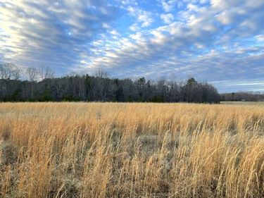 0 Sugar Hill Road, Brookneal, VA 24528