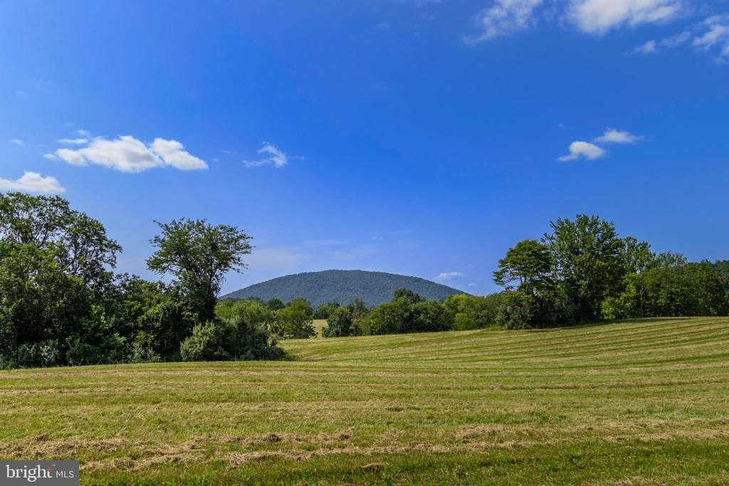Clarendon Farm Drive, Marshall, VA 20115 Main Photo