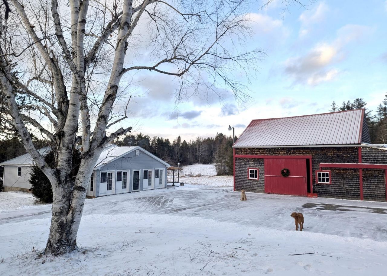 252 Ox Cove Road, Pembroke, ME 04666 Main Photo