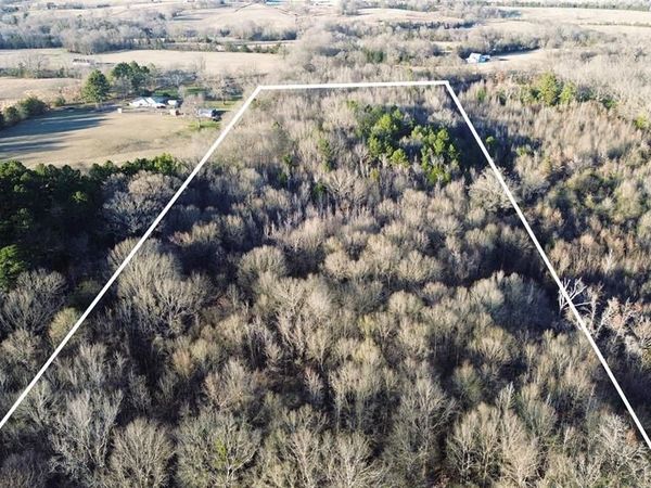 1628 CR 3375, Cookville, TX 75558