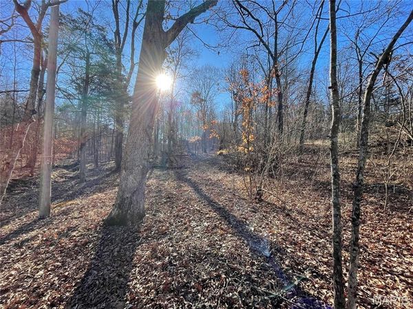 3838 Oak Hill Drive, Catawissa, MO 63015