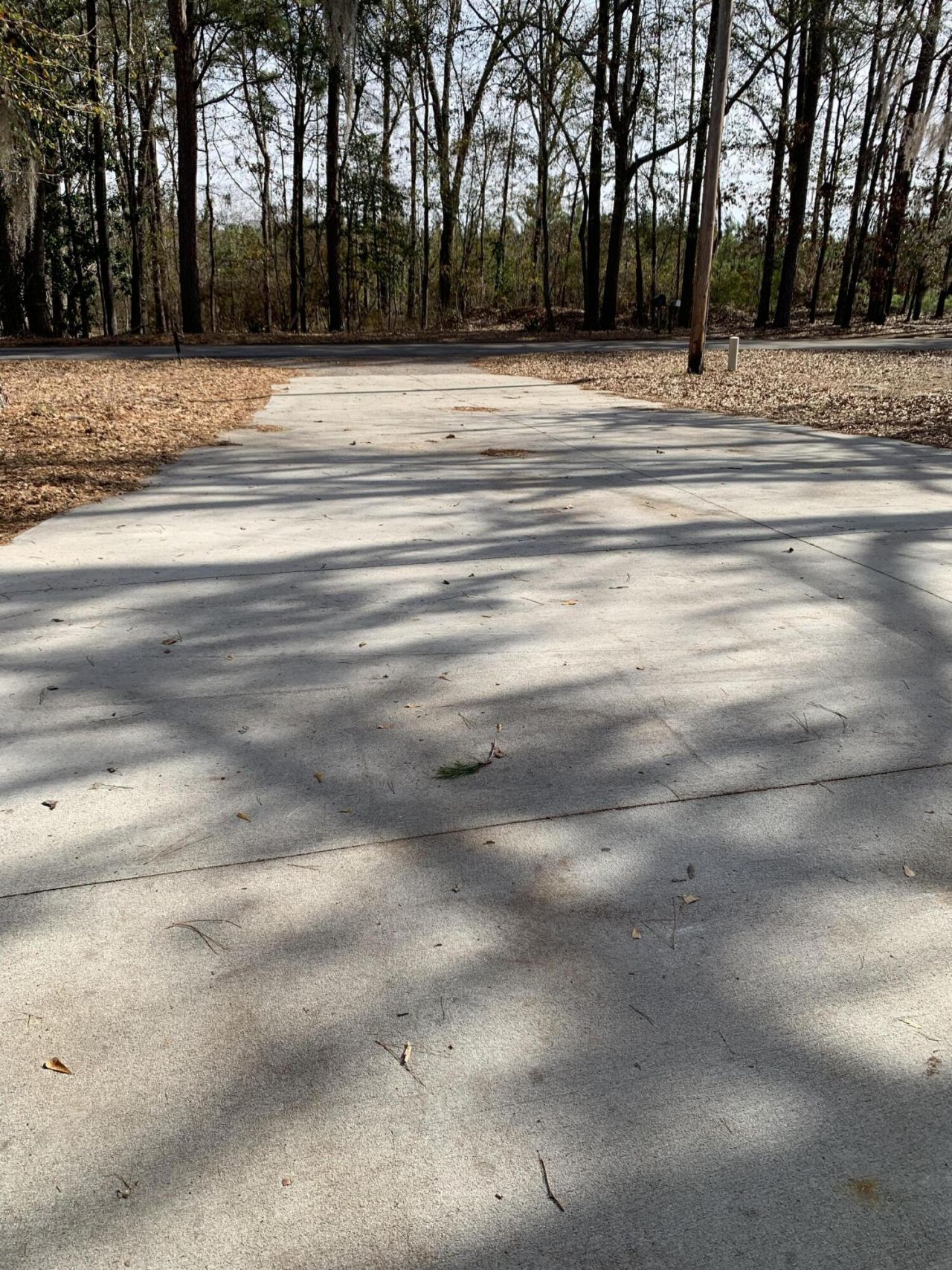 1519 Kenwood Road Photo 19