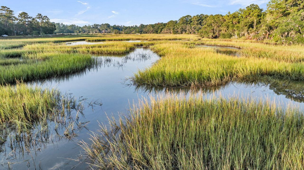 7262 Toogoodoo Road Photo 42