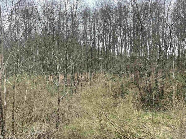 TBD Glassworks Road, Buckhannon, WV 26201