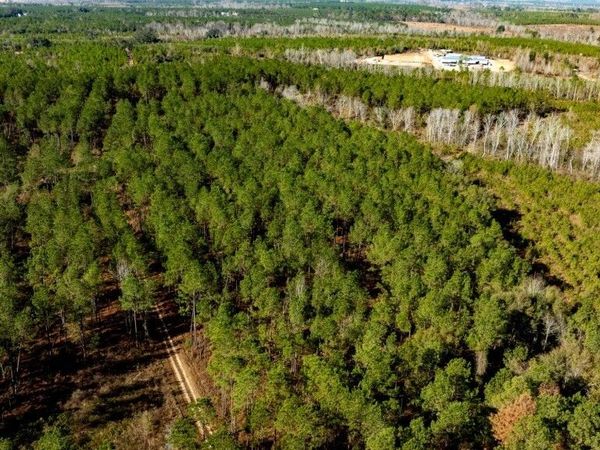 0 S Highway 19 & Warm Spring Road, Glenwood, GA 30428