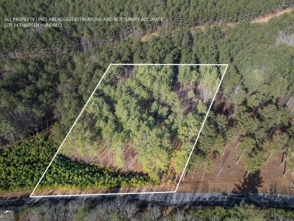 LOT 74 Thirteen Hundred, Blairsville, GA 30512