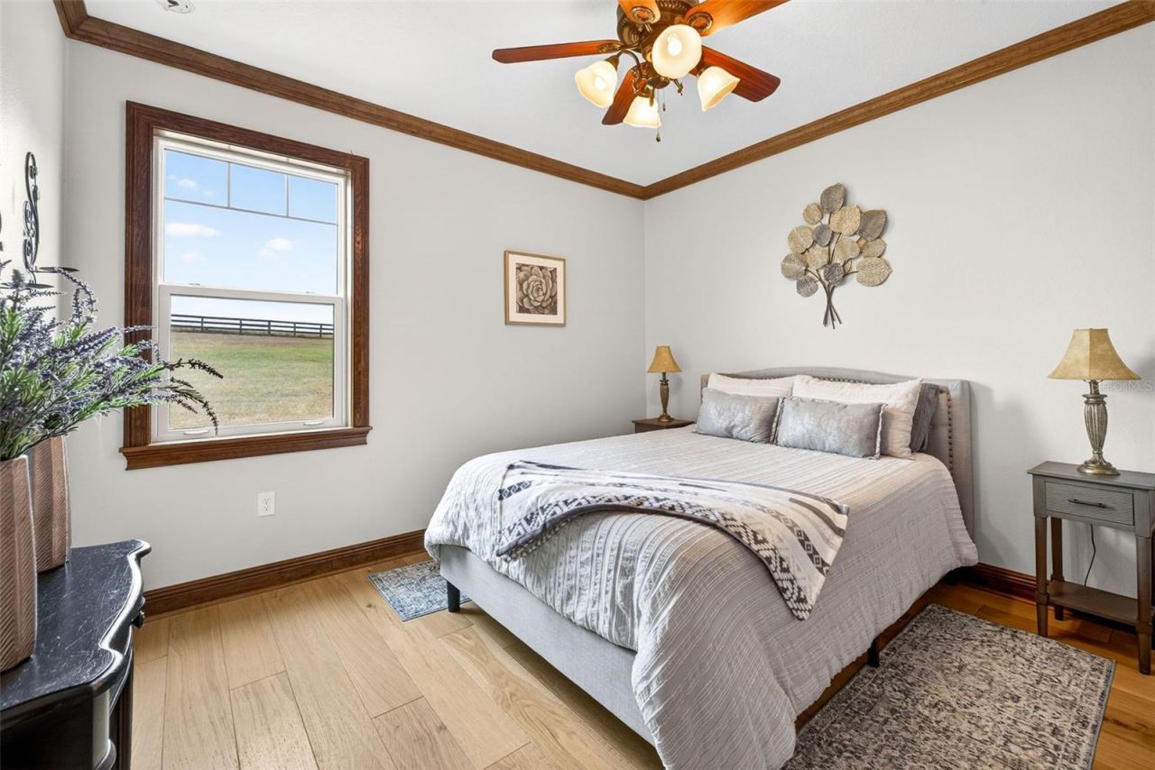 32103 Rusty Creek Trail, Dade City, FL 33525 Photo