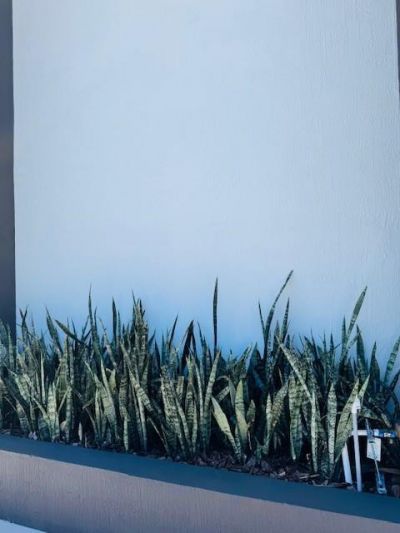 Please Call For Address, Miami, FL 33128 Photo