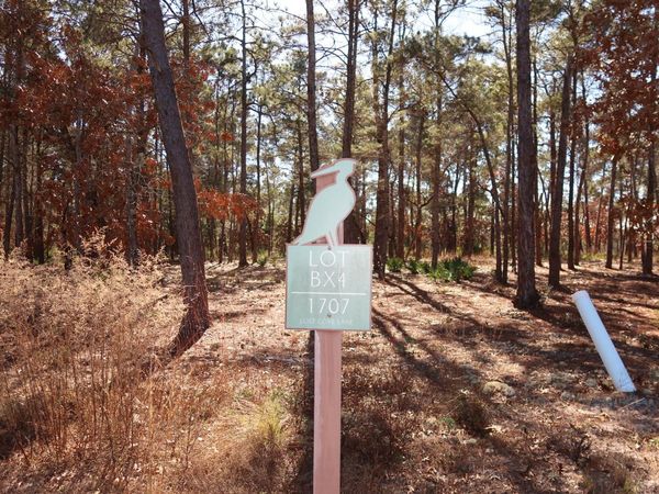 1707 Lost Cove Lane, Panama City Beach, FL 32413