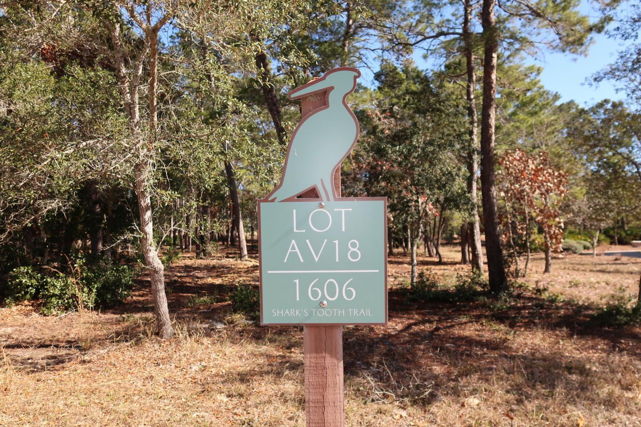 1606 Shark's Tooth Trail, Panama City Beach, FL 32413 Main Photo