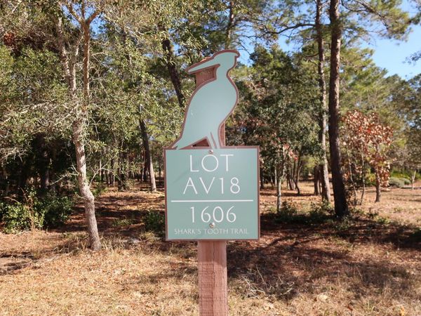 1606 Shark's Tooth Trail, Panama City Beach, FL 32413