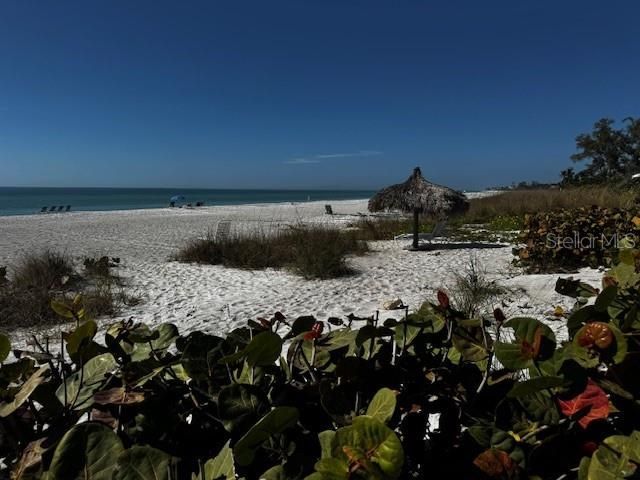 5841 Gulf Of Mexico Drive, Unit 236, Longboat Key, FL 34228 Photo