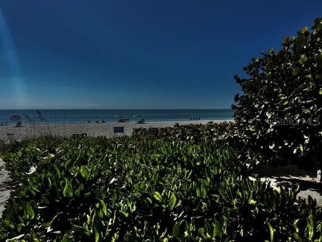 5841 Gulf Of Mexico Drive, Unit 236, Longboat Key, FL 34228 Photo