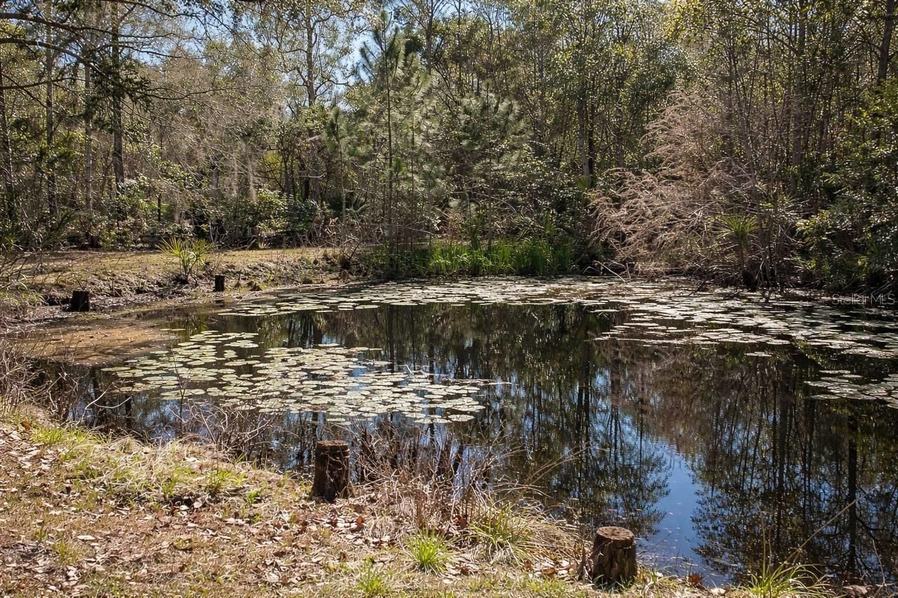 445 S State Road 415, Osteen, FL 32764 Photo