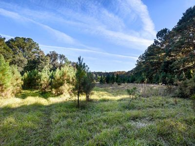 2476 Joseph Pearline Road, Johns Island, SC 29455