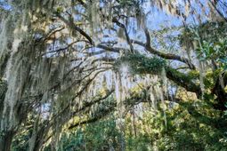 2476 Joseph Pearline Road photo 4