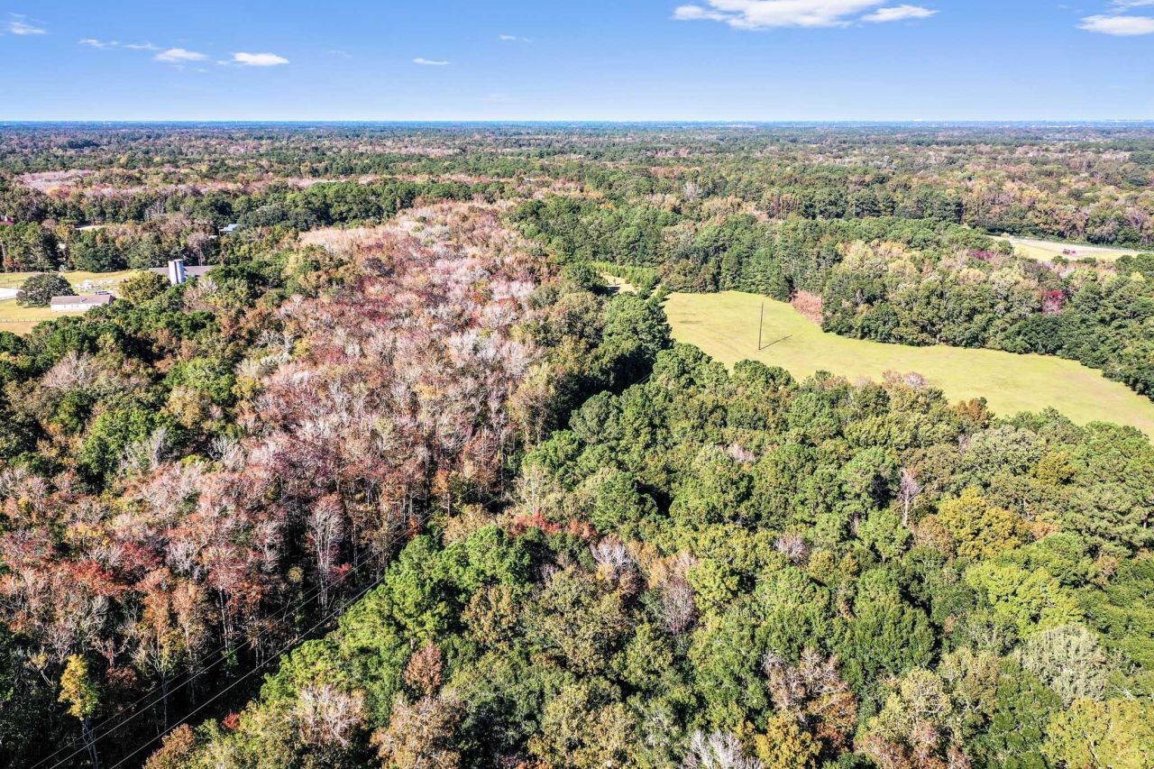 2476 Joseph Pearline Road Photo 6