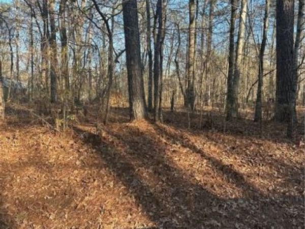 20 Marshall Drive, Lake View, AL 35111