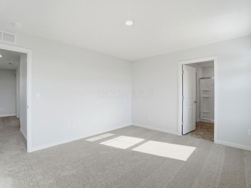 5923 Pitch Pine Drive, Canal Winchester, OH 43110 Photo 19