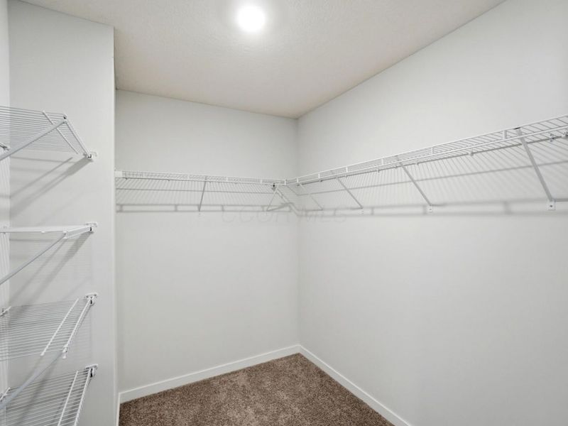 5923 Pitch Pine Drive, Canal Winchester, OH 43110 Photo 22