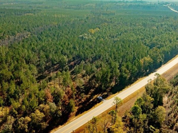 0 S Highway 19 & Warm Spring Road, Glenwood, GA 30428