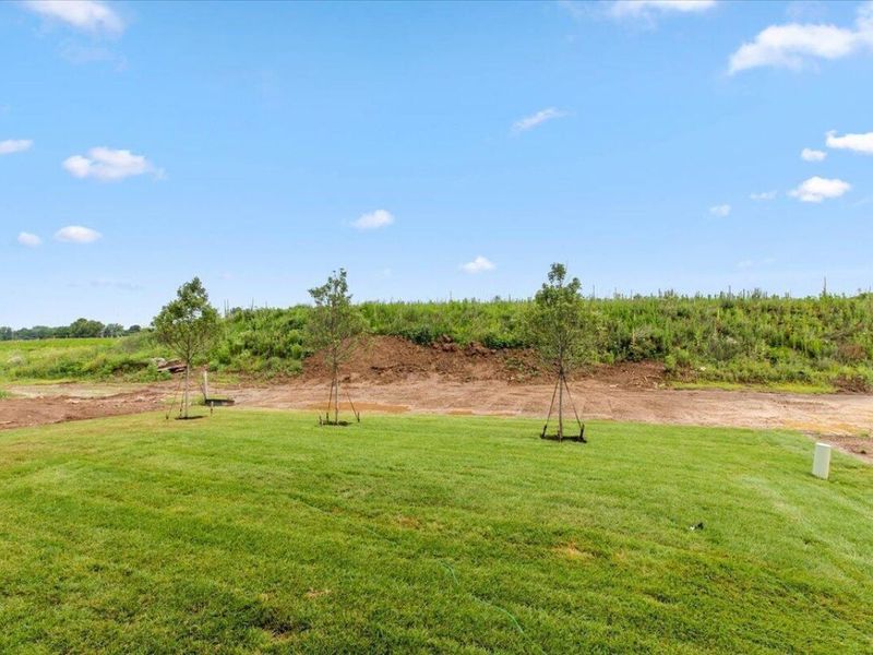 116 Gold Finch Street, Pickerington, OH 43147 Photo 35