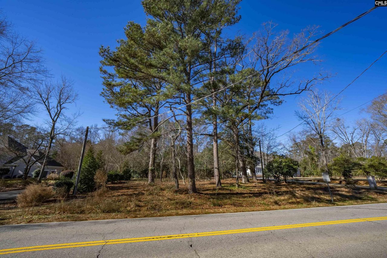 345 Old Chapin Road Photo 15