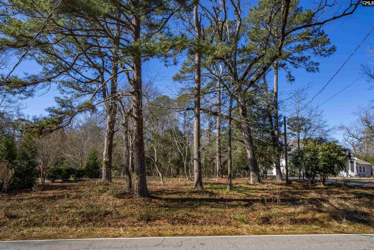 345 Old Chapin Road Photo 16