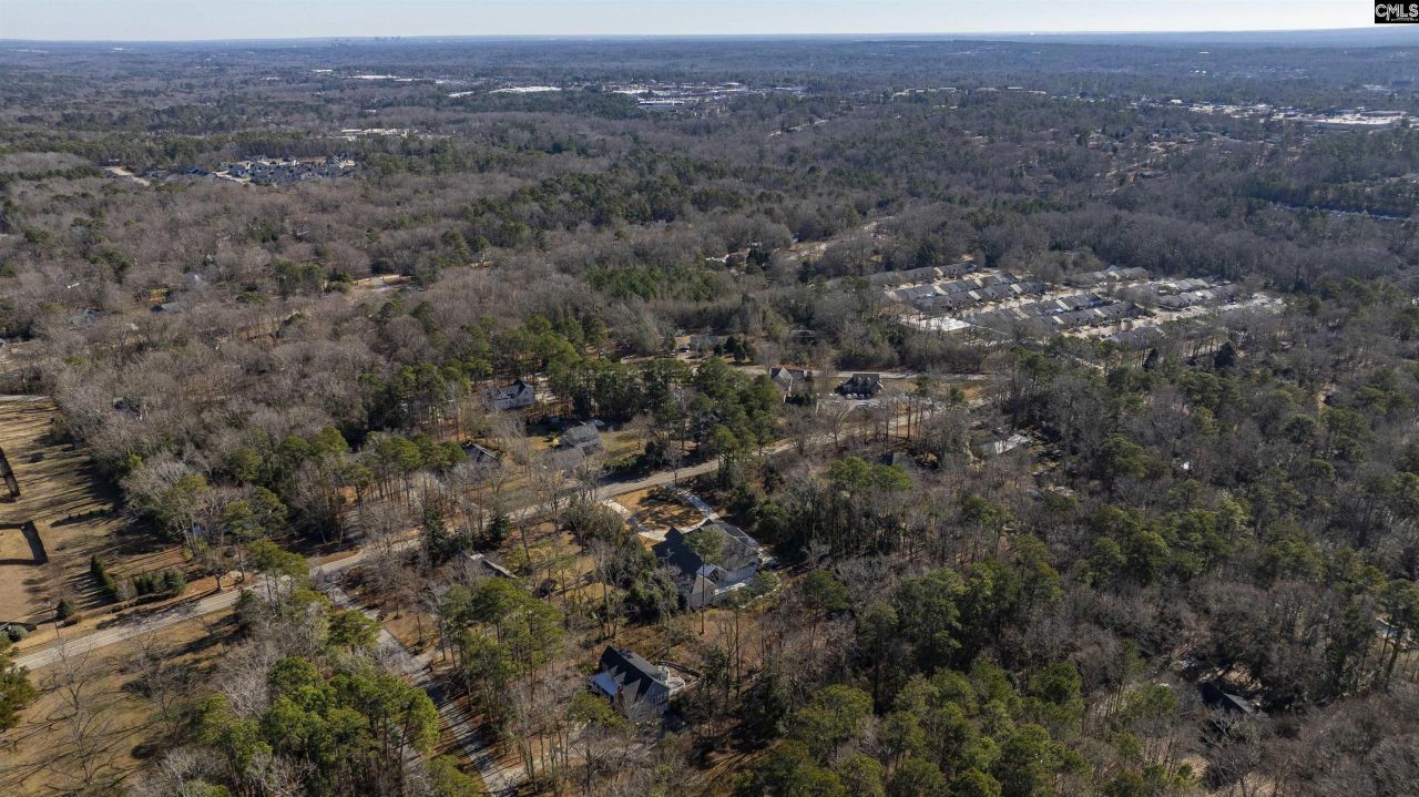 345 Old Chapin Road Photo 9