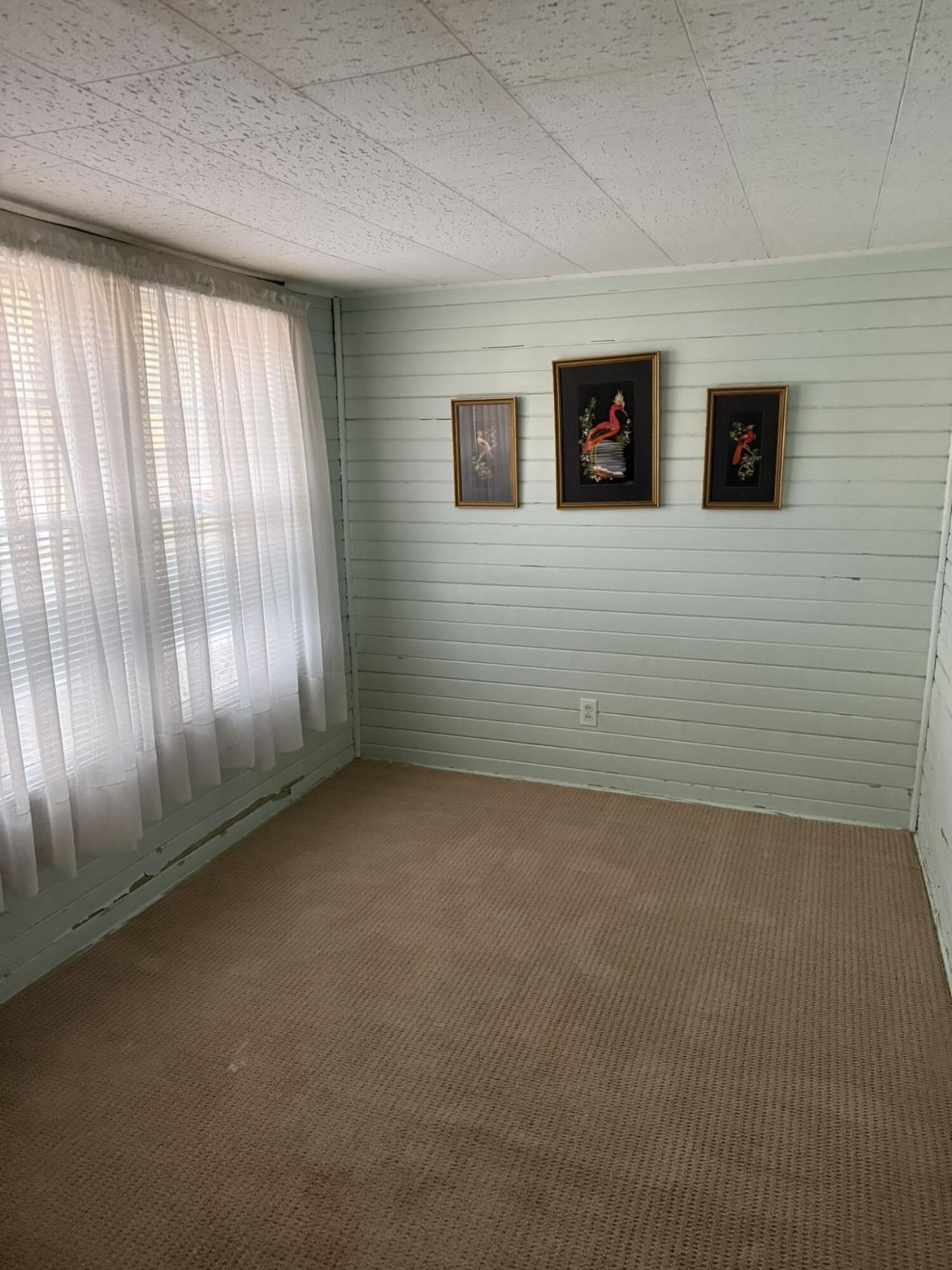 359 Murray Road Photo 7